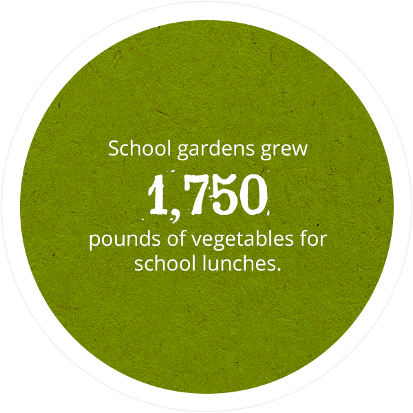School gardens grew 1,750 pounds of vegetables for school lunches.