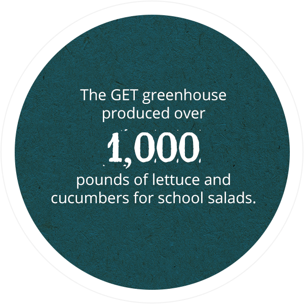 The GET greenhouse produced over 1,000 pounds of lettuce and cucumbers for school salads.