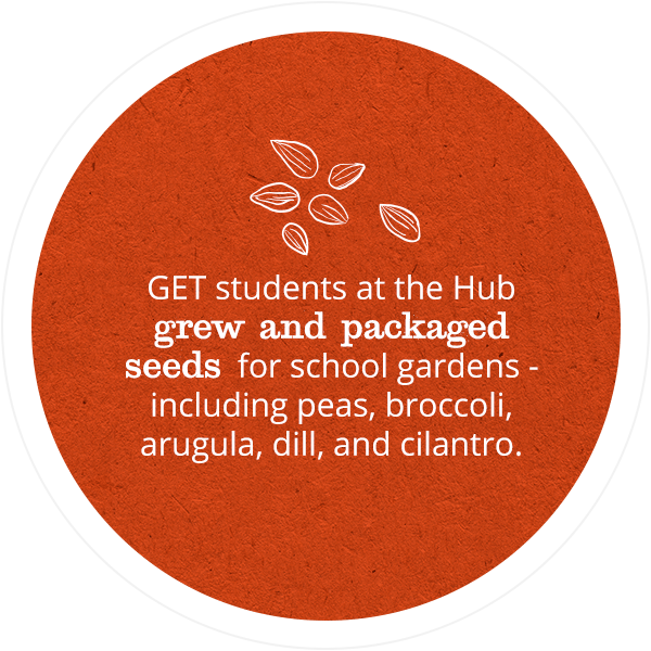 GET students at the Hub grew and packaged seeds for school gardens -- including peas, broccoli, arugula, dill, and cilantro.