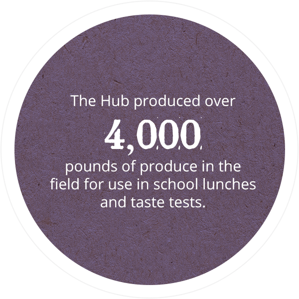 The Hub produced over 4,000 pounds of produce in the field for use in school lunches and taste tests.