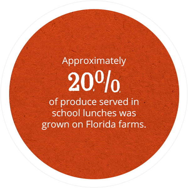 Approximately 20% of produce served in school lunches was grown on Florida Farms.