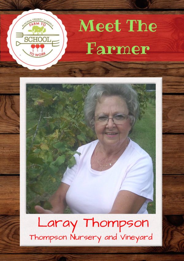 Meet the Farmer: Laray Thompson (Thompson Nursery and Vineyard)