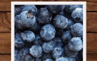 Harvest of the Month: Blueberries