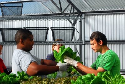 Students learning in the Farm to School to Work Hub