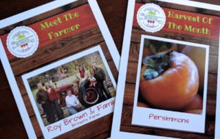 Harvest of the Month: Persimmons