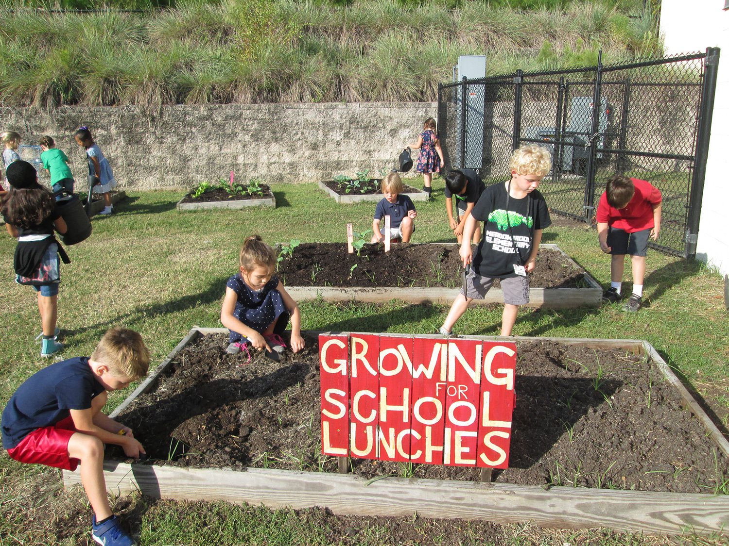 Students planting in their school garden