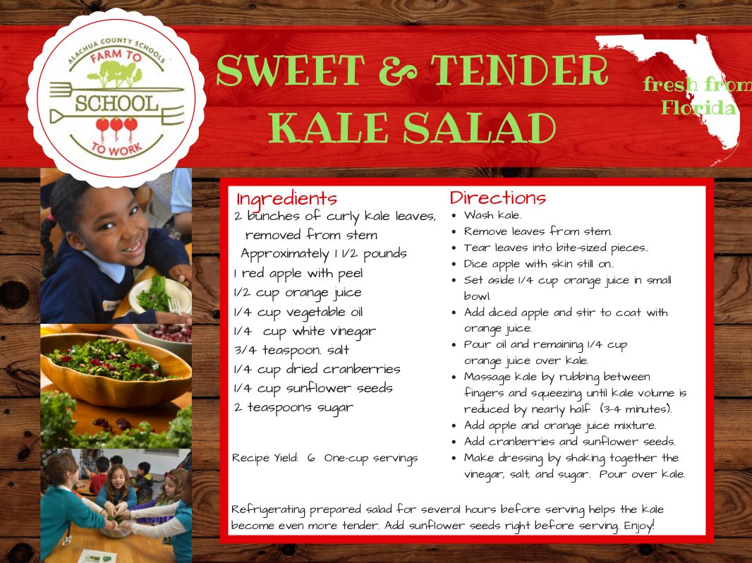 Sweet & Tender Kale Salad Recipe, Ingredients: 2 bunches of curly kale leaves (removed from stem and approximately 1.5 pounds), 1 red apple with peel, 1/2 cup orange juice, 1/4 cup vegetable oil, 1/4 cup white vinegar, 3/4 teaspoon salt, 1/4 cup dried cranberries, 1/4 cup sunflower seeds, 2 teaspoons sugar. Directions: Wash kale. Remove leaves from stems. Tear leaves into bite-sized pieces. Dice apple with skin still on. Set aside 1/4 cup orange juice in small bowl. Add diced apple and stir to coat with orange juice. Pour oil and remaining 1/4 cup orange juice over kale. Massage kale by rubbing between fingers and squeezing until kale volume is reduced by nearly half (3-4 minutes). Add apple and orange juice mixture. Add cranberries and sunflower seeds. Make dressing by shaking together the vinegar, salt, and sugar. Pour the dressing over kale. This recipe yields 6 one-cup servings. Note; Refrigerating prepared salad for several hours before serving helps the kale become even more tender. Add sunflower seeds right before serving. Enjoy!