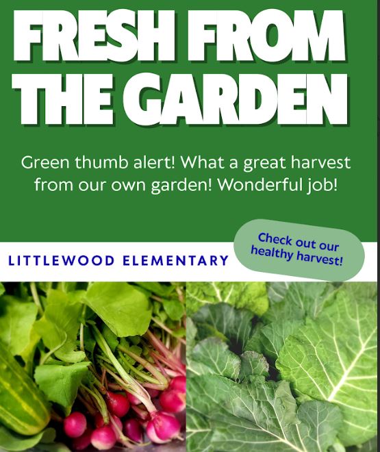 Littlewood Elementary School